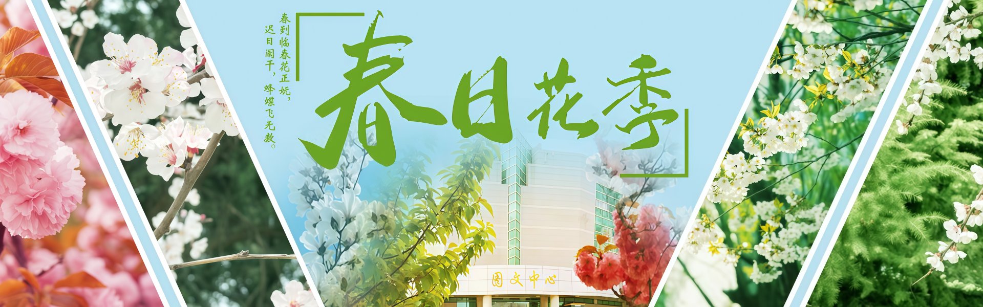 环球体育平台登录官网新手怎么玩202